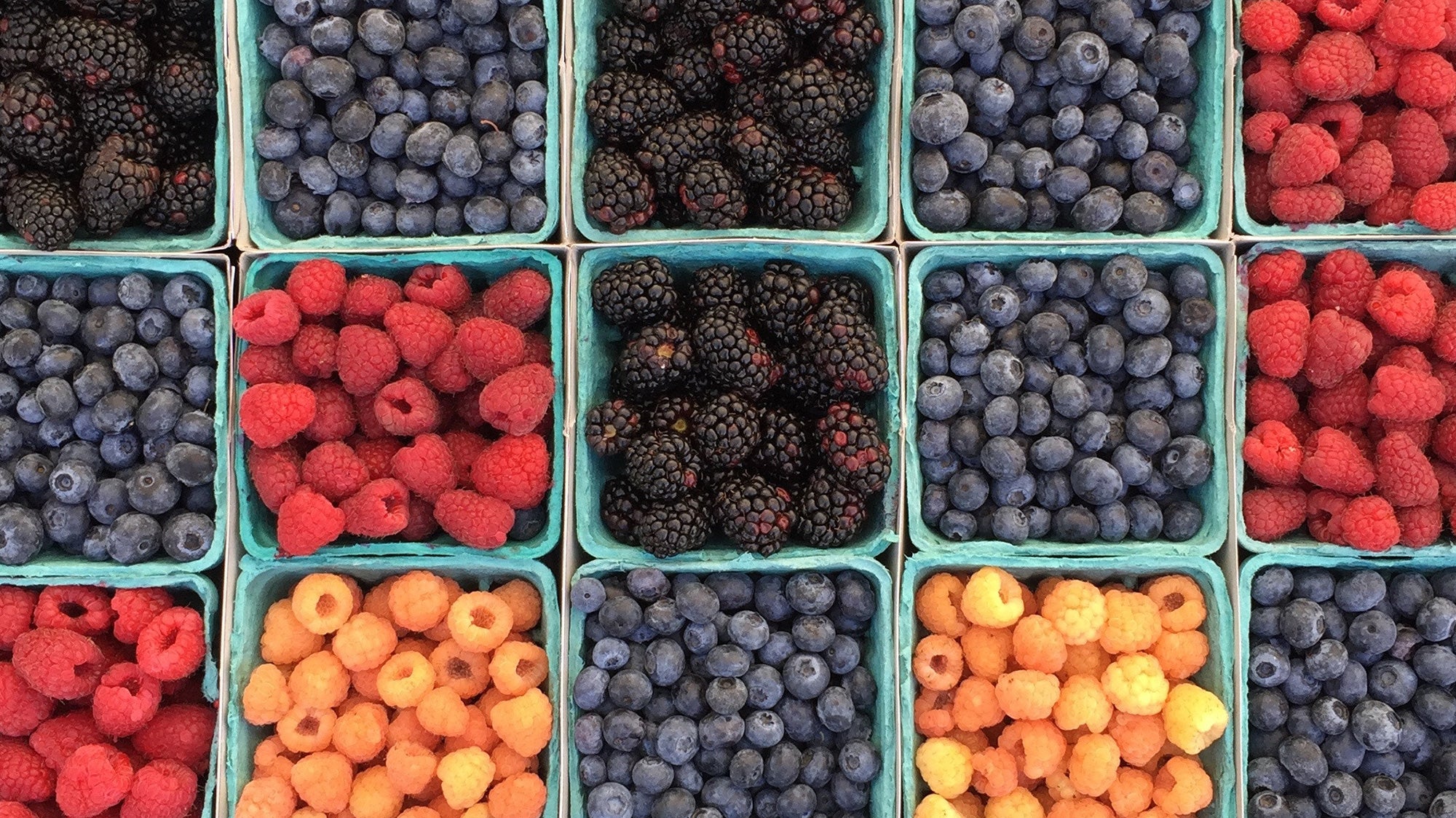 Province of Canada - Made in Canada