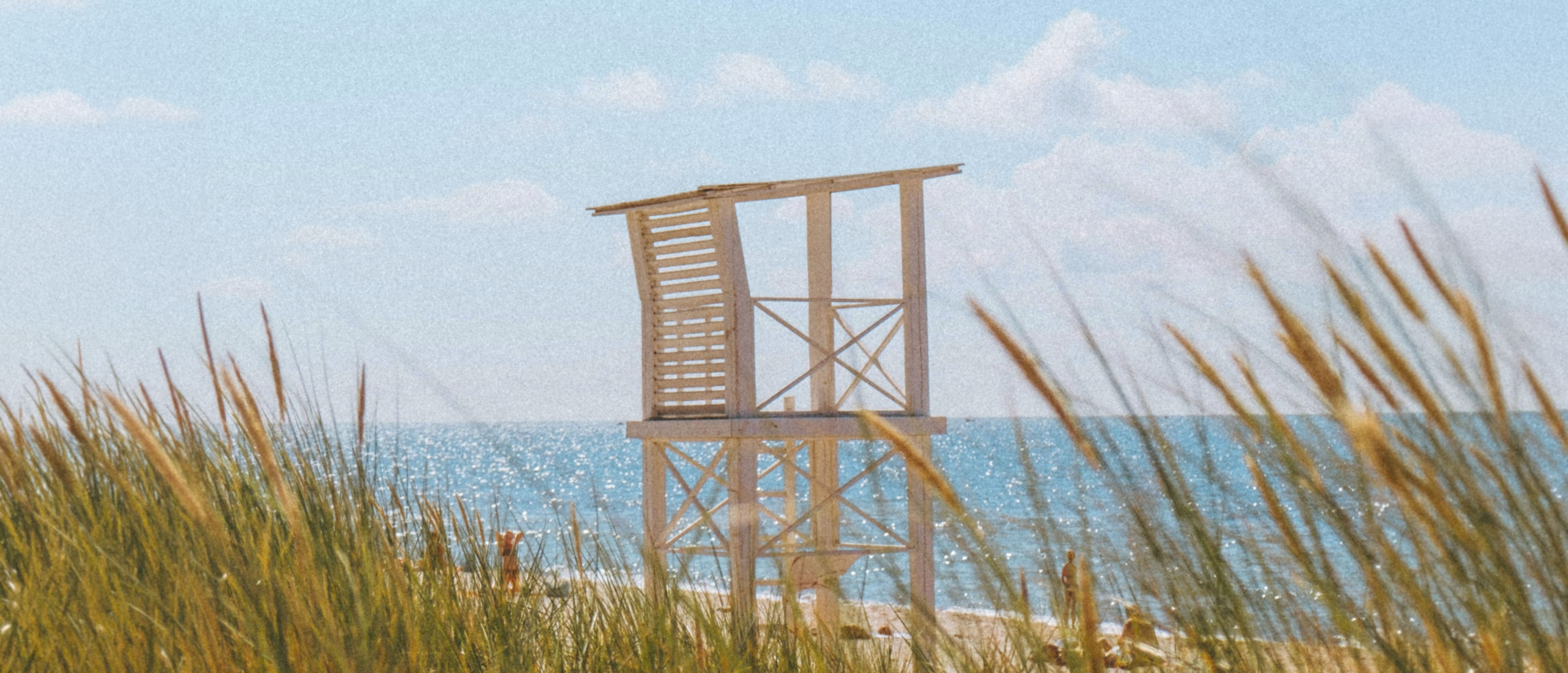 The Summer Sale